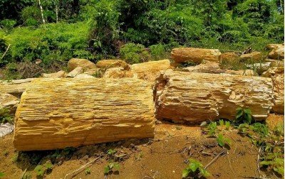 Naturstein Waschbecken | Steinbruch Versteinertem Holz | Versteinertes Holz Waschbecken